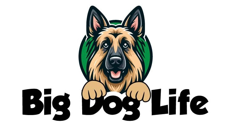 Big Dog Life